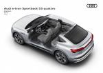 Audi e-tron 55 Quattro Sporback S-Line 2020 года (WW)